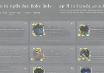 vivo手机出厂锁怎么解除？详细步骤和方法分享