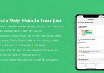 微信手机号转账怎么开通操作？新手必看指南