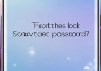 华为荣耀9手机锁屏密码忘了怎么解锁？