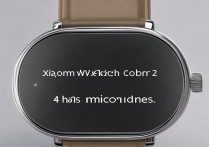 小米Watch Color2有几个麦克风？实测或官方参数说明？