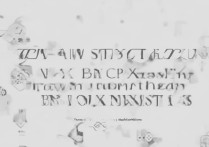 vivox1st备份怎么操作？新手必看步骤教程