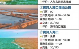 东营旅游攻略，如何规划一次完美的东营之旅？