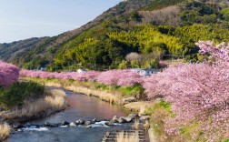 舟山桃花岛风景区