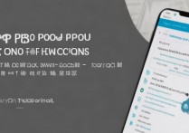 oppo手机扣扣权限怎么设置？新手必看教程来了！