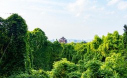 吴山旅游风景区