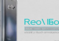 realme gt neo2是曲面屏吗？屏幕参数详细说明