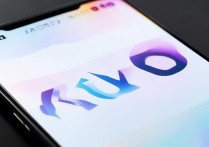 vivo手机怎么把系统字体调大？设置里找不到字体大小选项怎么办？
