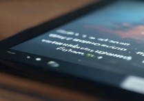 ipad游戏没有声音怎么回事
