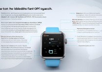 OPPO手表IP地址怎么查？详细步骤与方法解析