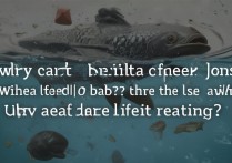 小黑鱼无法还款怎么回事？用户该咋办？影响征信吗？