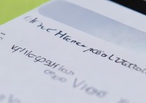 vivo手机开发者选项在哪里