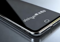 vvivo手机怎么看型号