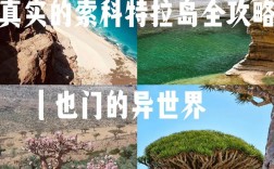 也门旅游攻略，探索这个神秘国度，有哪些必去景点和旅行建议？