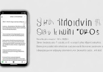 oppo手机怎么添加vpn？新手操作步骤详解