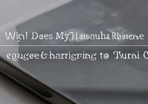 华为手机插电才能开机是什么原因导致的？