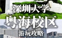 深圳大学旅游攻略，如何充分体验这所美丽校园的魅力？