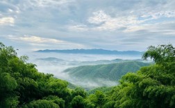 笄山竹海风景区