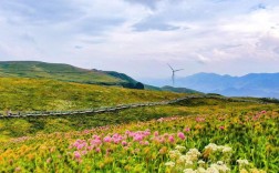 川河盖风景区怎么样