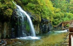 望天鹅风景区怎么样