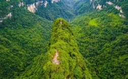 贵州大方油杉河风景区