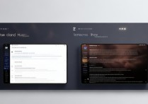 网易云音乐极速版与网易云音乐普通版有什么区别全新2025年数据-