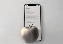 苹果怎么自动旋转屏幕？iPhone屏幕旋转设置方法