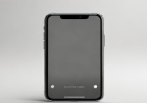 iphone关闭震动