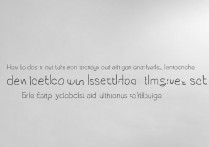 华为g610怎么删除信号第2个图标？华为g610信号图标第二个怎么去除