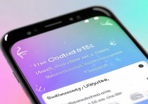 vivox5max主题怎么更新？找不到更新入口怎么办？