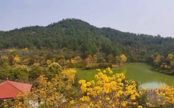 增城那里好玩的风景区