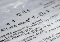 三星p3100刷机后中文显示异常怎么办？