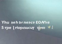 oppo进入恢复模式怎么退出？恢复模式数据会丢失吗？