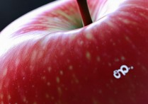 苹果怎么看屏幕大小？苹果手机屏幕尺寸在哪里看