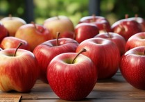 苹果照片怎么批量删除？一次性删掉多张照片的技巧是什么？