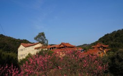 大冶梅红山庄风景区