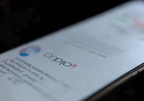 oppo语音权限怎么设置，oppo手机语音助手权限在哪里开