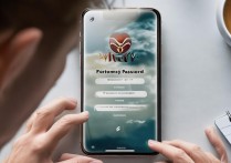 vivoy85手机隐私密码忘记了怎么办，vivo手机隐私密码忘了怎么解决