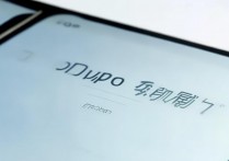 OPPO查审核进度在哪看?附详细步骤入口