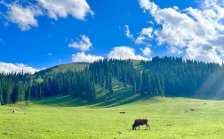 伊犁那拉提草原风景区