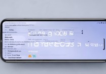 vivo手机root权限管理怎么开启？安全教程步骤详解