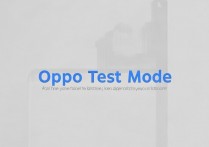 oppo测试模式怎么开？开启后能干嘛？注意事项有哪些？
