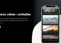 vivo视频截屏功能怎么用？视频内任意画面截图方法详解