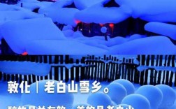 吉林雪村旅游攻略，如何规划一次完美的冰雪之旅？