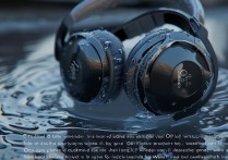 oppo耳机进水了怎么办？耳机进水声音变小怎么修复