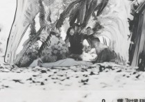 一加9pro应用名称在哪隐藏？如何找到隐藏的应用名称？