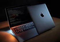 mac背面的苹果怎么不亮？MacBook背面logo灯不亮原因及解决方法