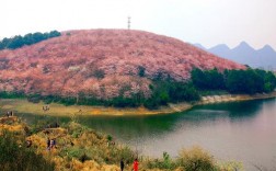 贵州清镇红枫湖门票