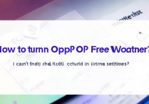 oppo自由天气怎么关？手机设置里找不到关闭入口怎么办？