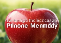 苹果手机内存不够用？教你3个方法轻松扩大存储空间！