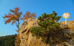 唐山将军山风景区